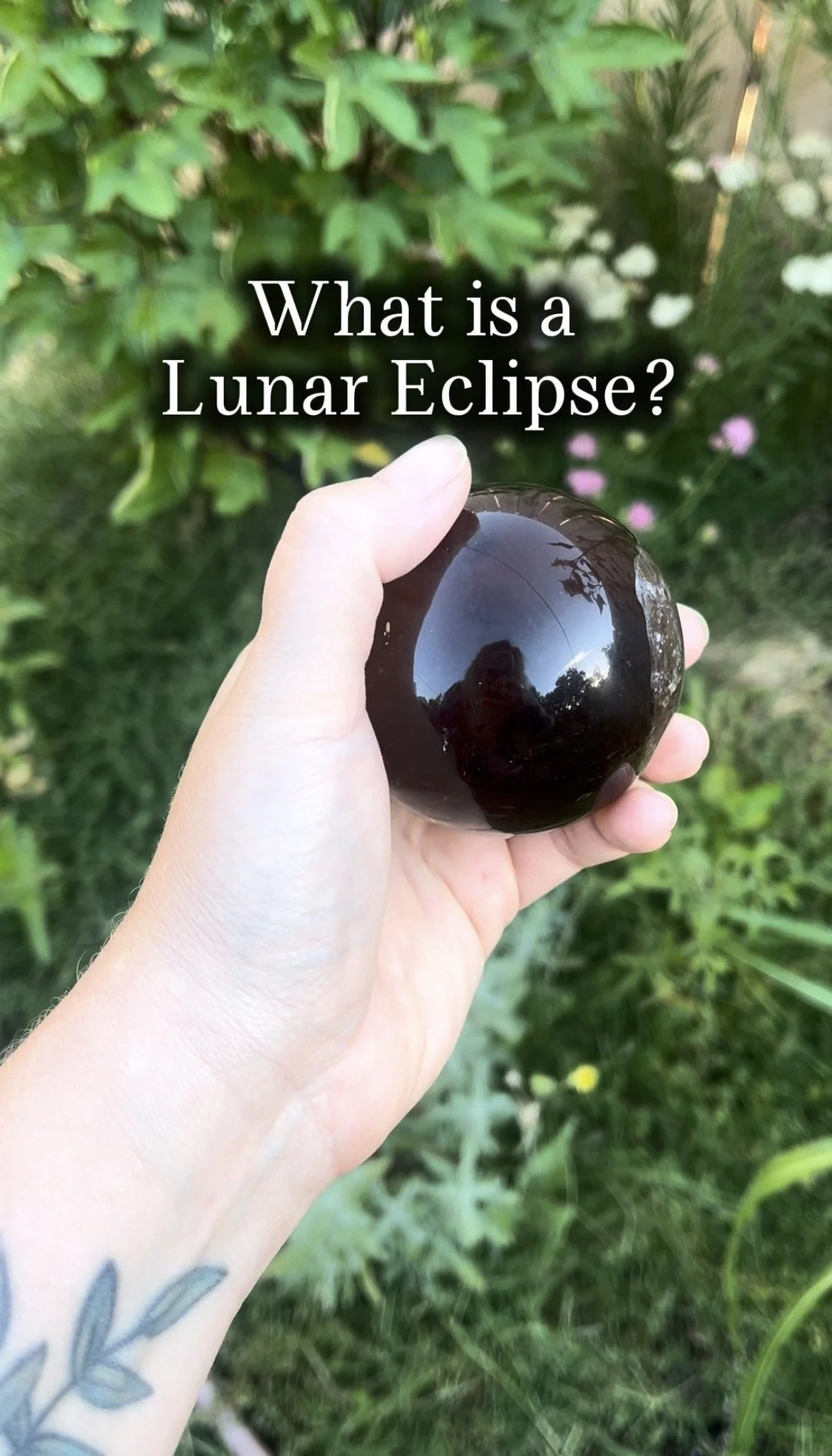 Lunar Eclipse 2026 -Free Guide