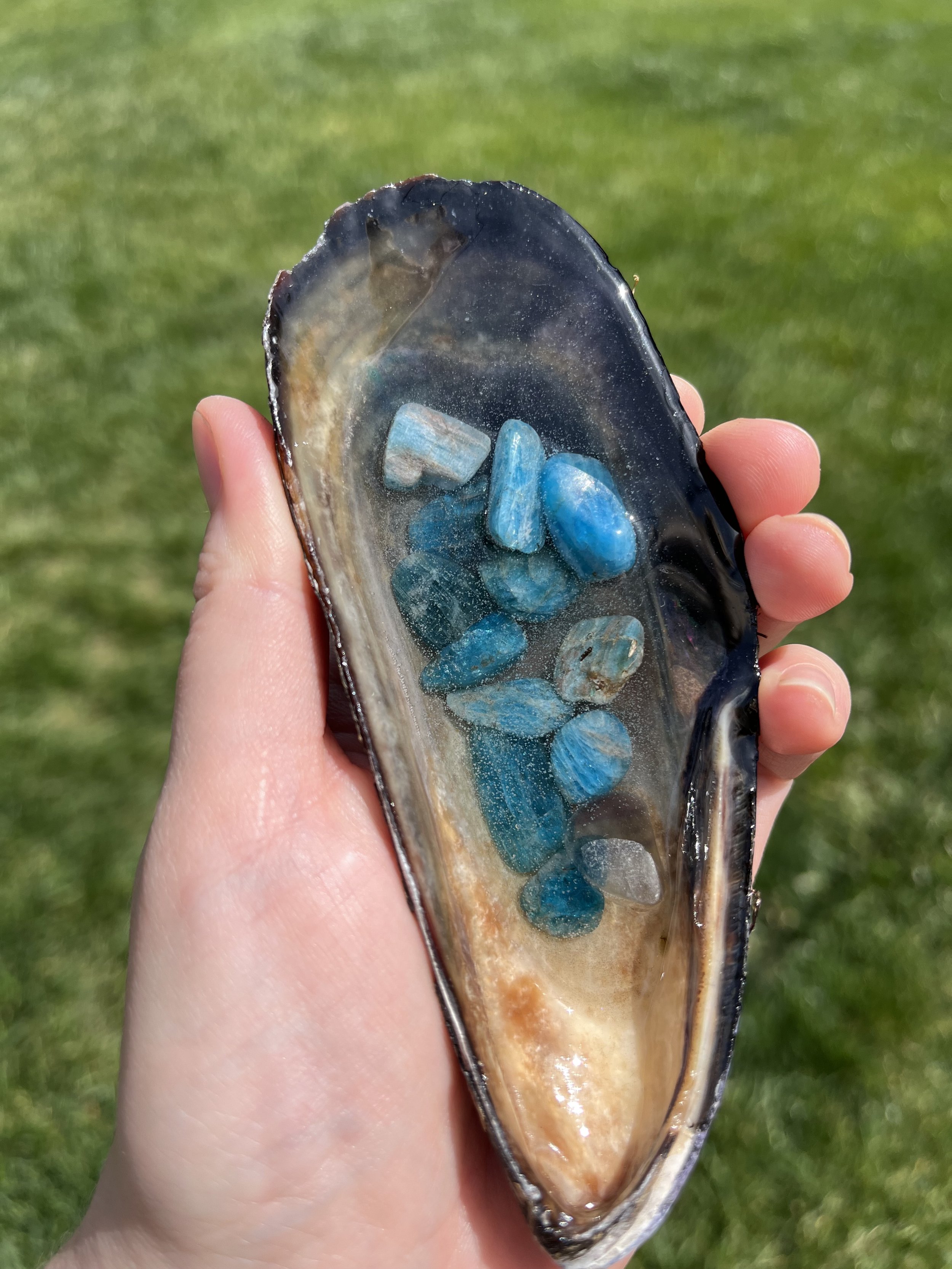 Blue Apatite Large Shell 4.jpeg