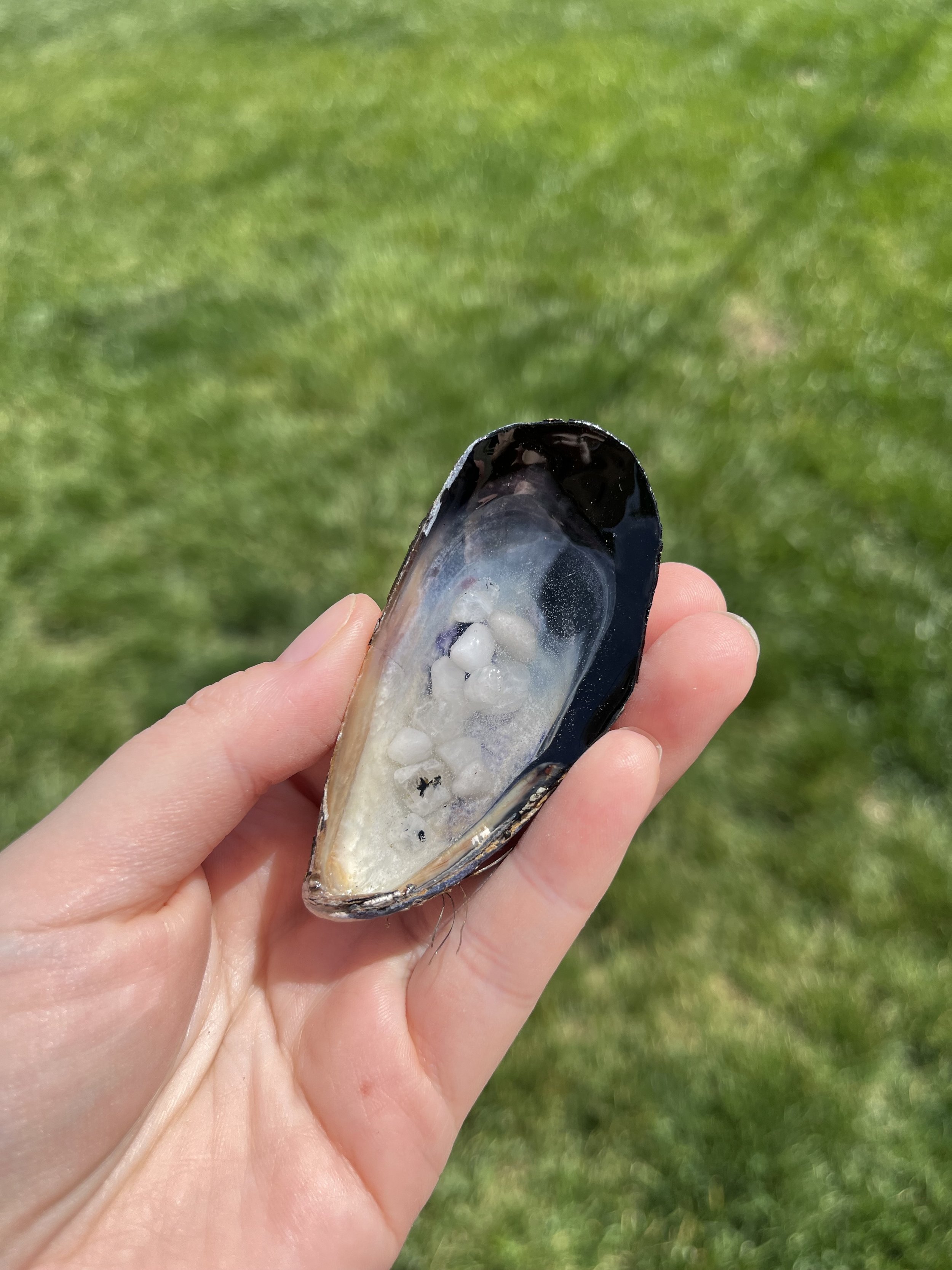 Moonstone Small Shell (4).jpeg
