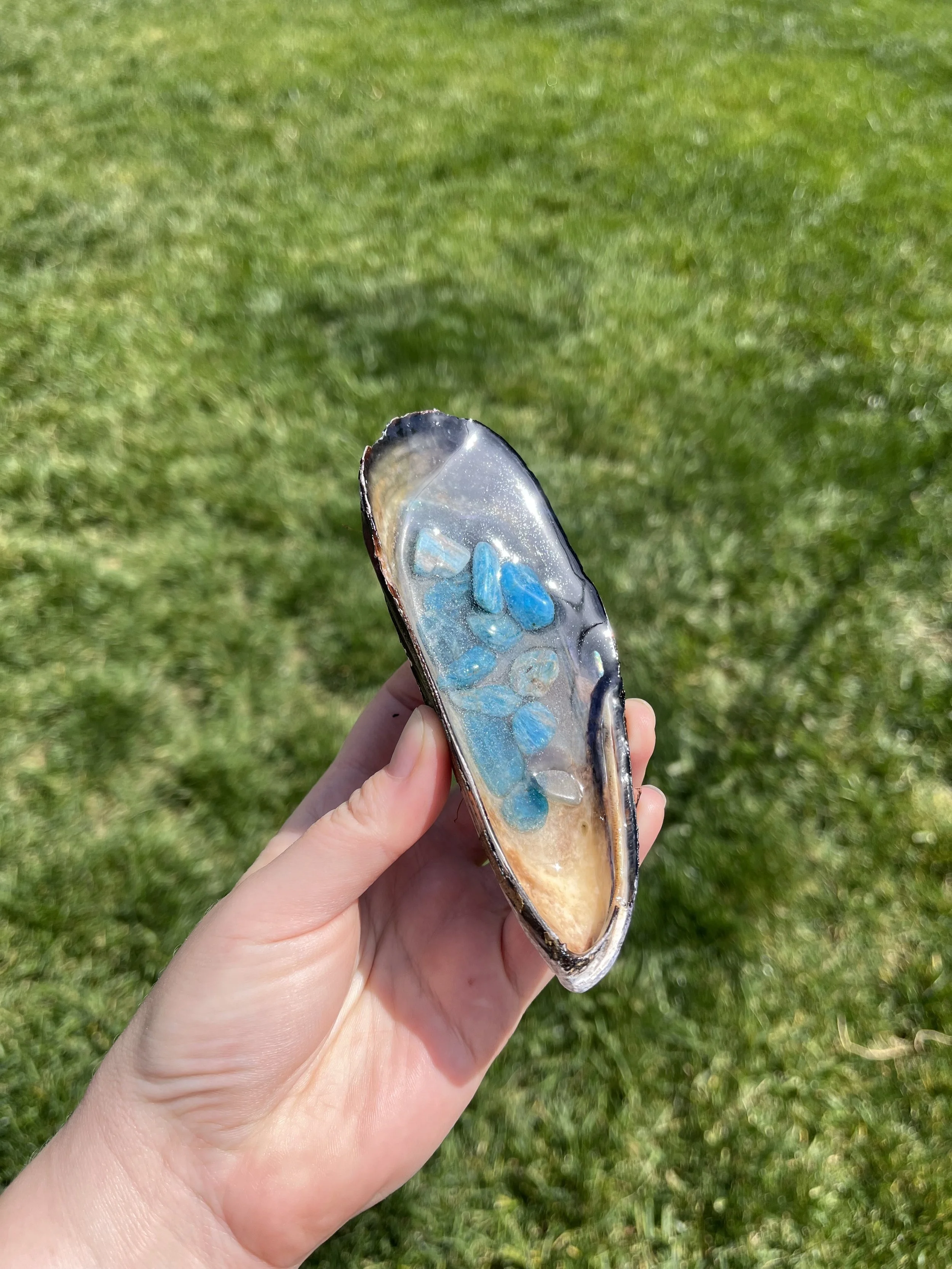 Blue Apatite Large Shell 1.jpeg
