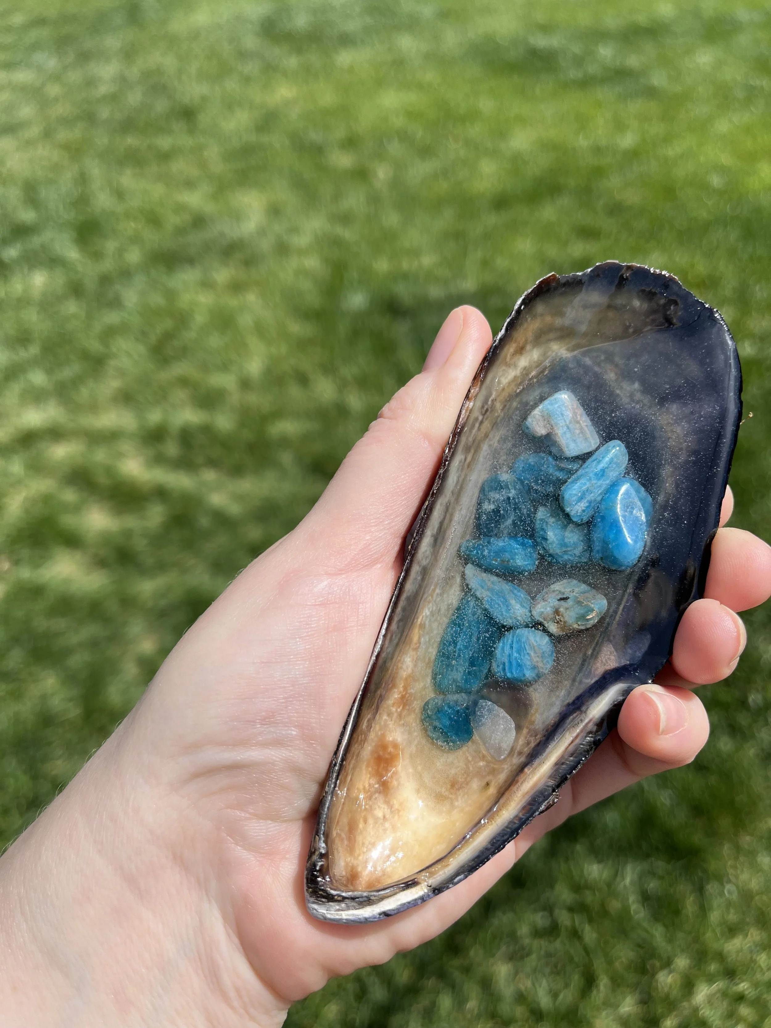 Blue Apatite Small Large 5.jpeg