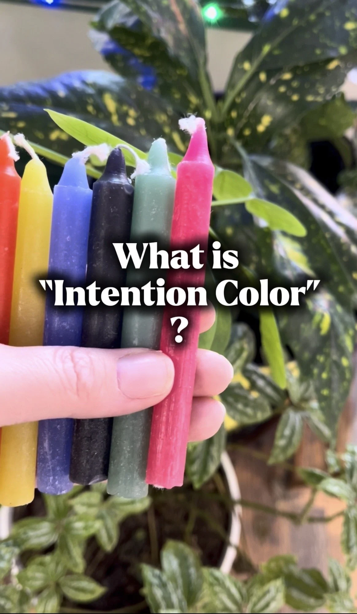 Intention Colors