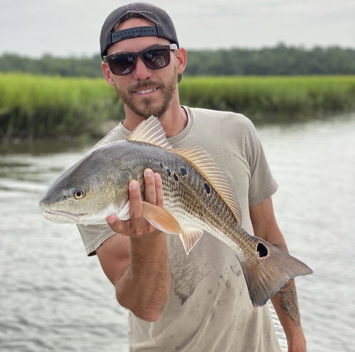 A man wearing sunglasses, a cap, and a light-colored T-shirt is holding a large fish with a wide body, silvery-gray color, and distinctive black spots. The background shows water and green marsh grasses or reeds.