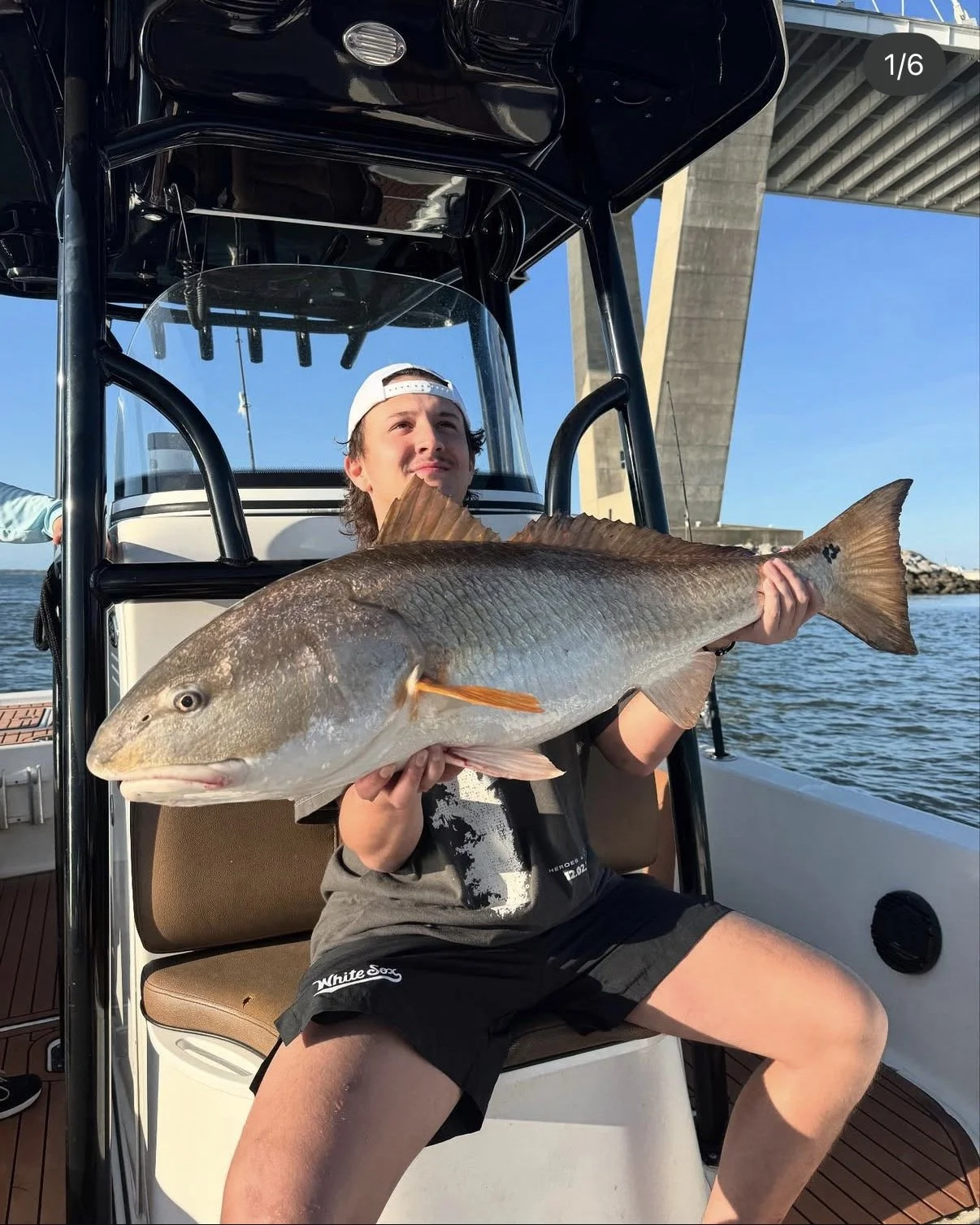 A young man in a gray T-shirt, black shorts, and a white cap is sitting on a boat, holding a large fish horizontally across his lap with both hands. The boat is located on the water, with a bridge in the background and a clear blue sky.