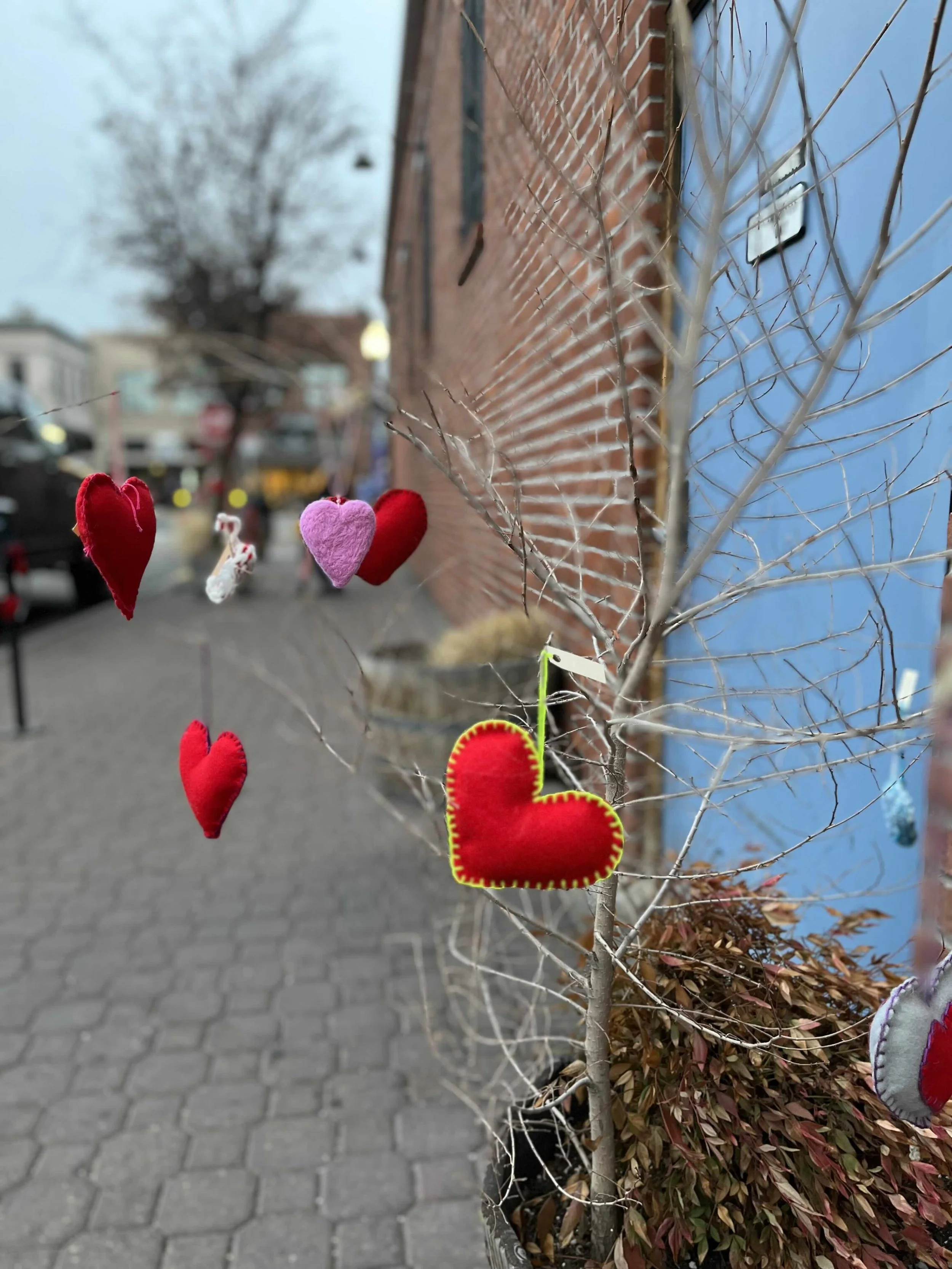 Waldorf School of Bend-Heartbomb-3.jpeg