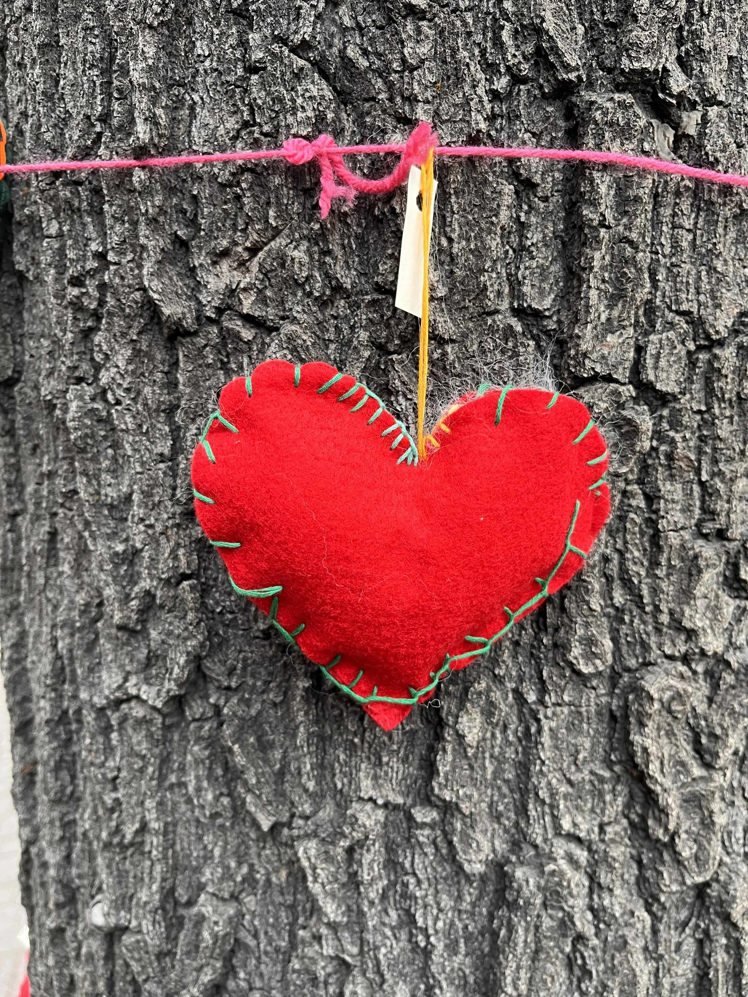 Waldorf School of Bend-Heartbomb-1.jpeg