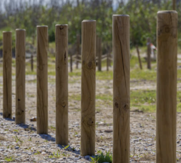 Captura de pantalla 2025-11-12 a la(s) 12.00.09.png