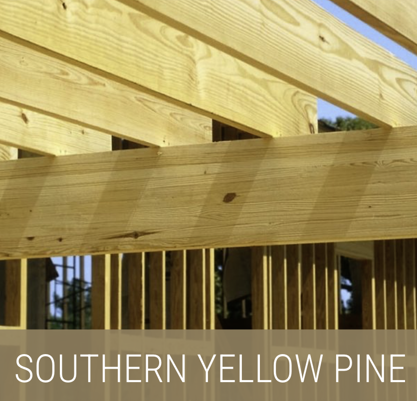 Captura de pantalla 2025-11-11 a la(s) 16.32.44.png