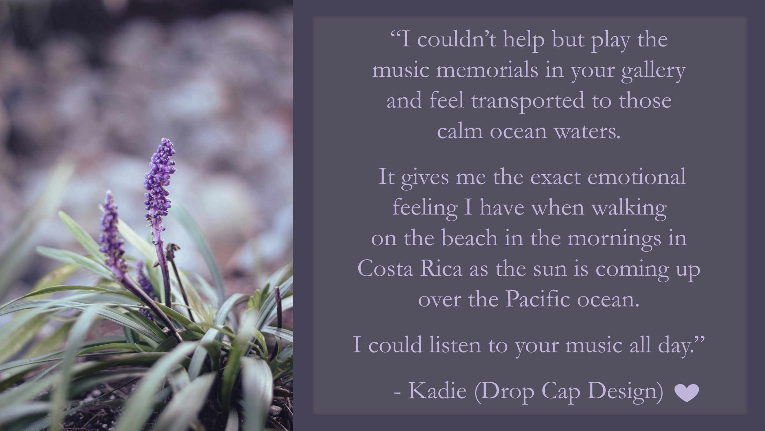 I couldn't help but play the music memorials in your gallery and feel transported to those calm ocean waters. I could listen to your music all day. It gives me the exact emotional feeling I have when walking on the beach in Costa Rica.