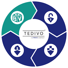 Circular diagram with icons representing security and account features, and the TEDIVO logo in the center.