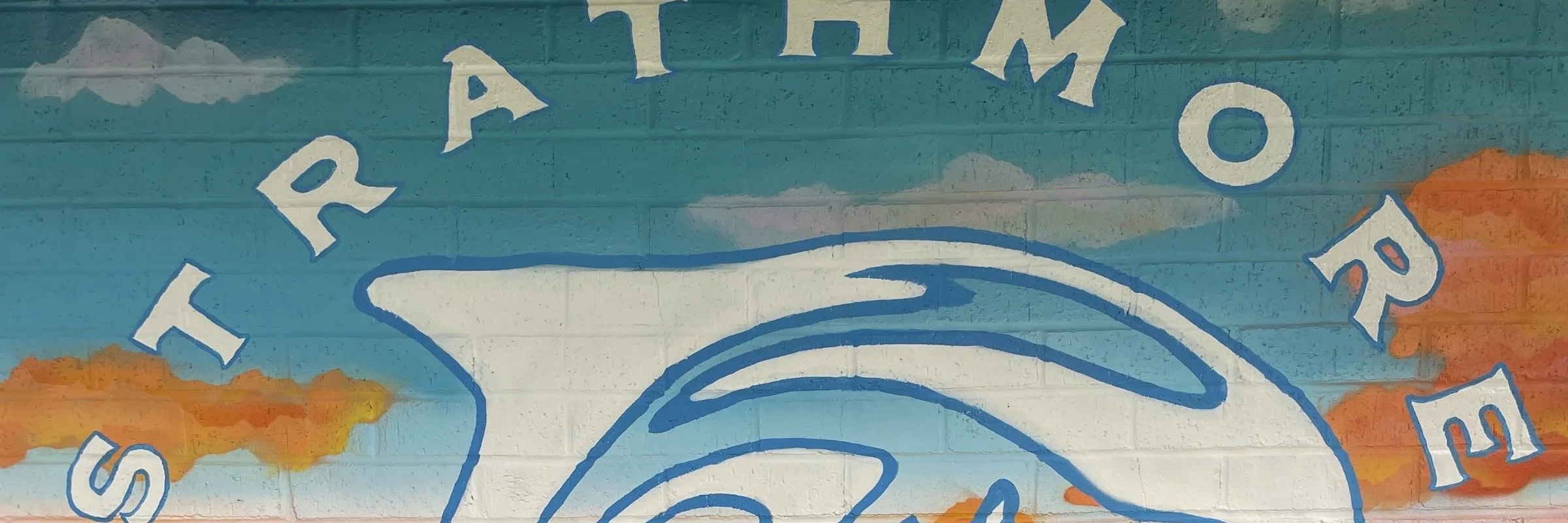 SBP Dolphin Dash 5K & Fun Run