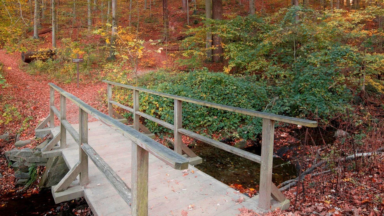 Trail Running in Rock Creek Park: A Guide to DC's Best Dirt Trails