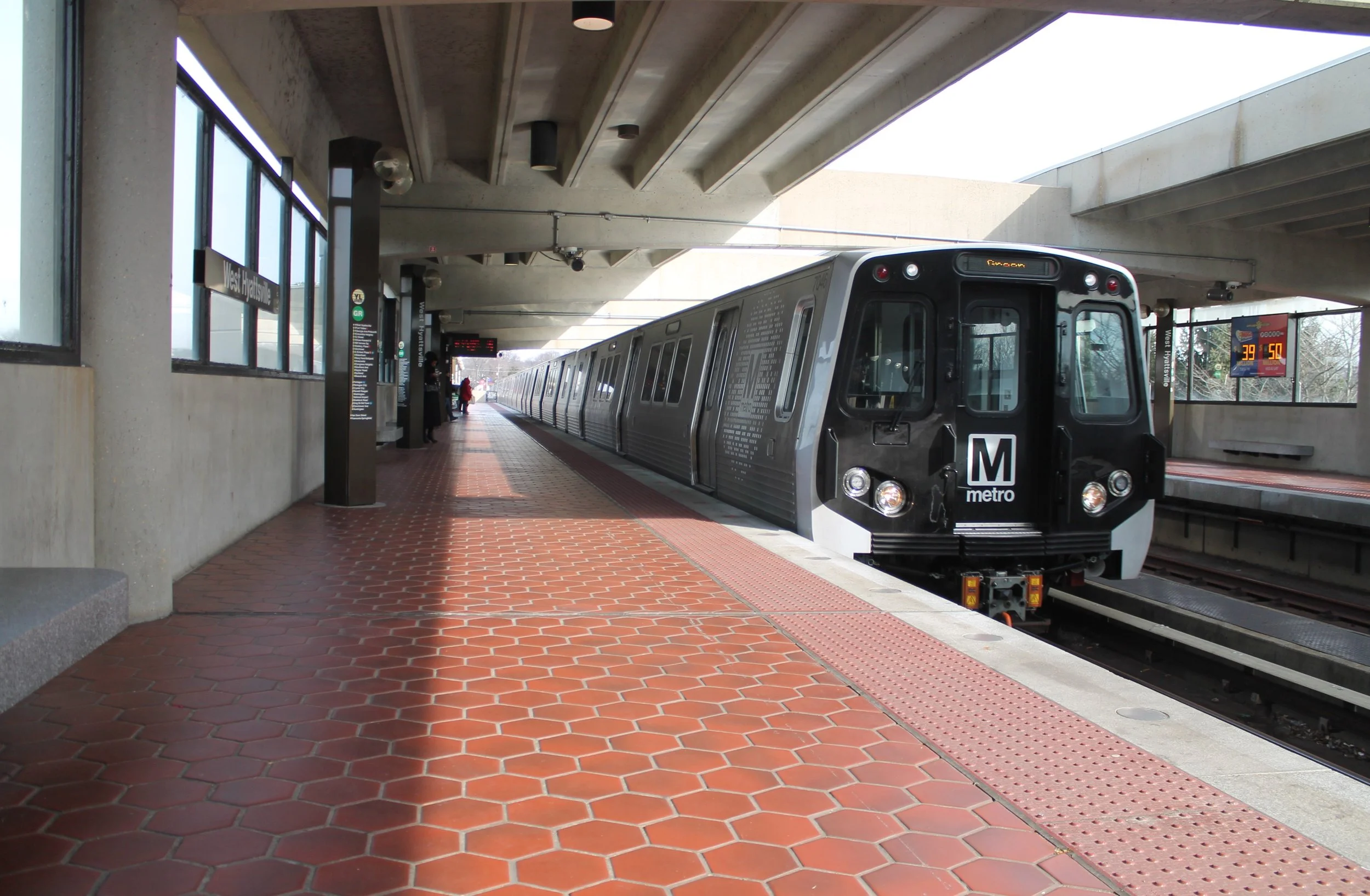 No Car Needed: DMV’s Best Metro-Accessible Fall Races