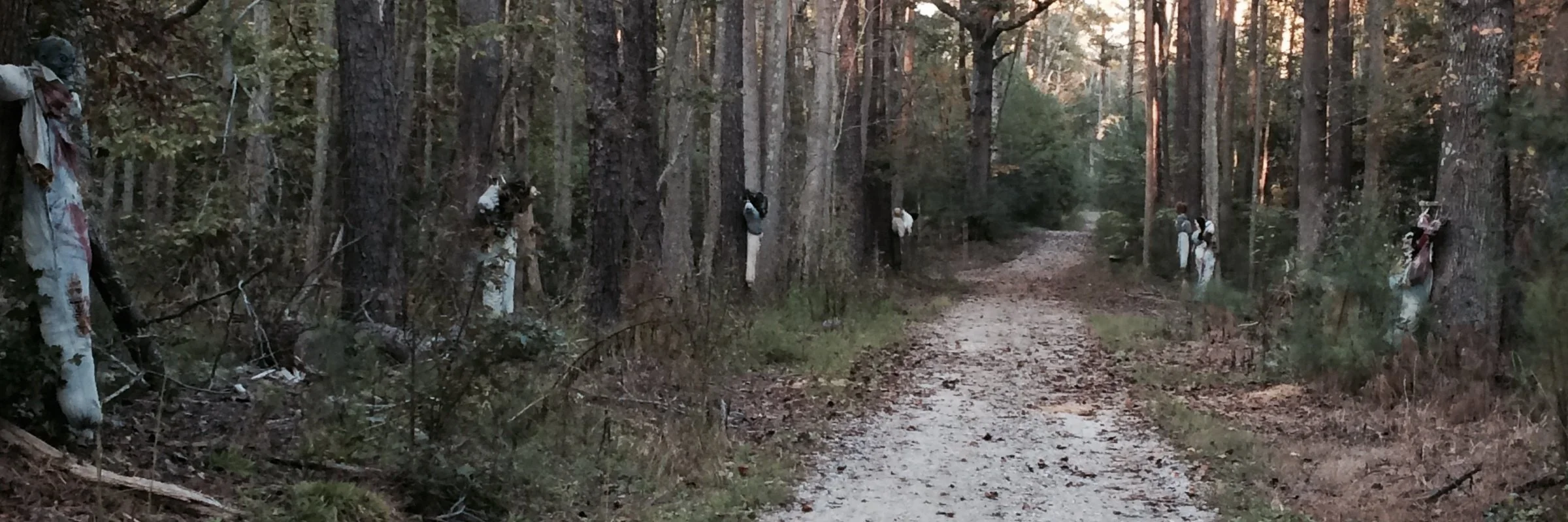 Frightening 4 Trail Run/Hike