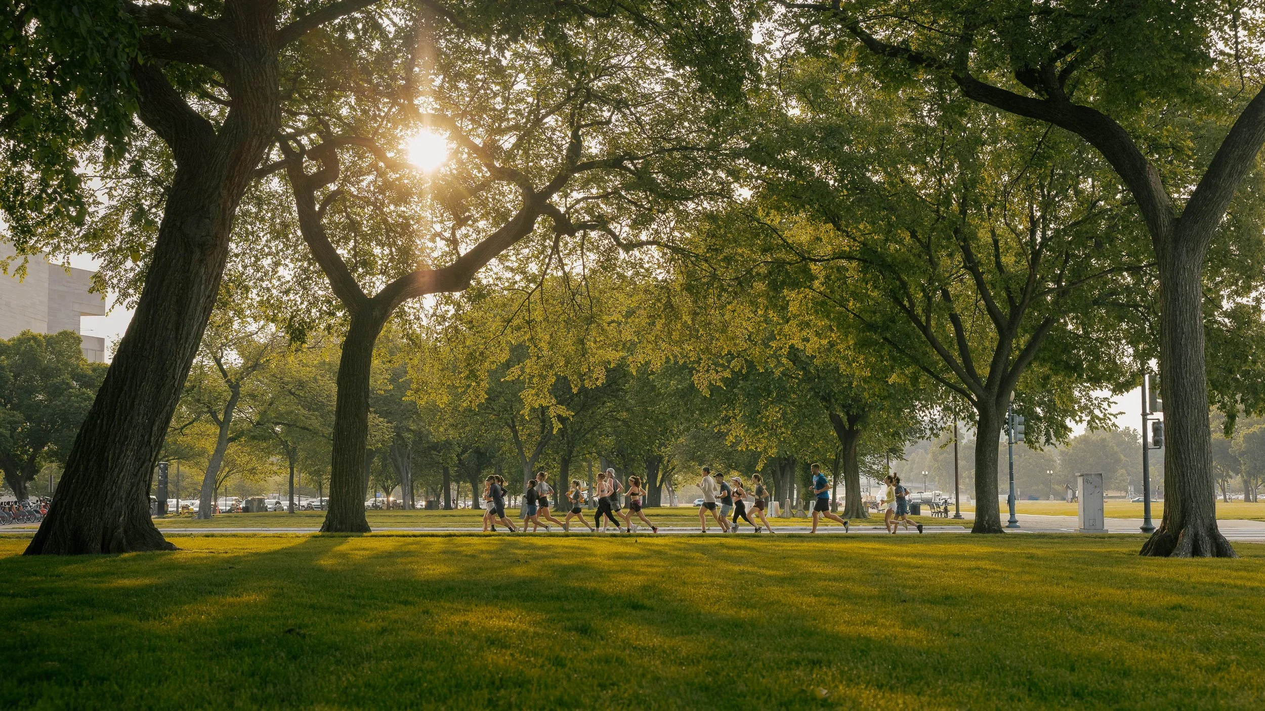 People running in a park with large green trees, sunlight filtering through the leaves, and a building visible in the background.