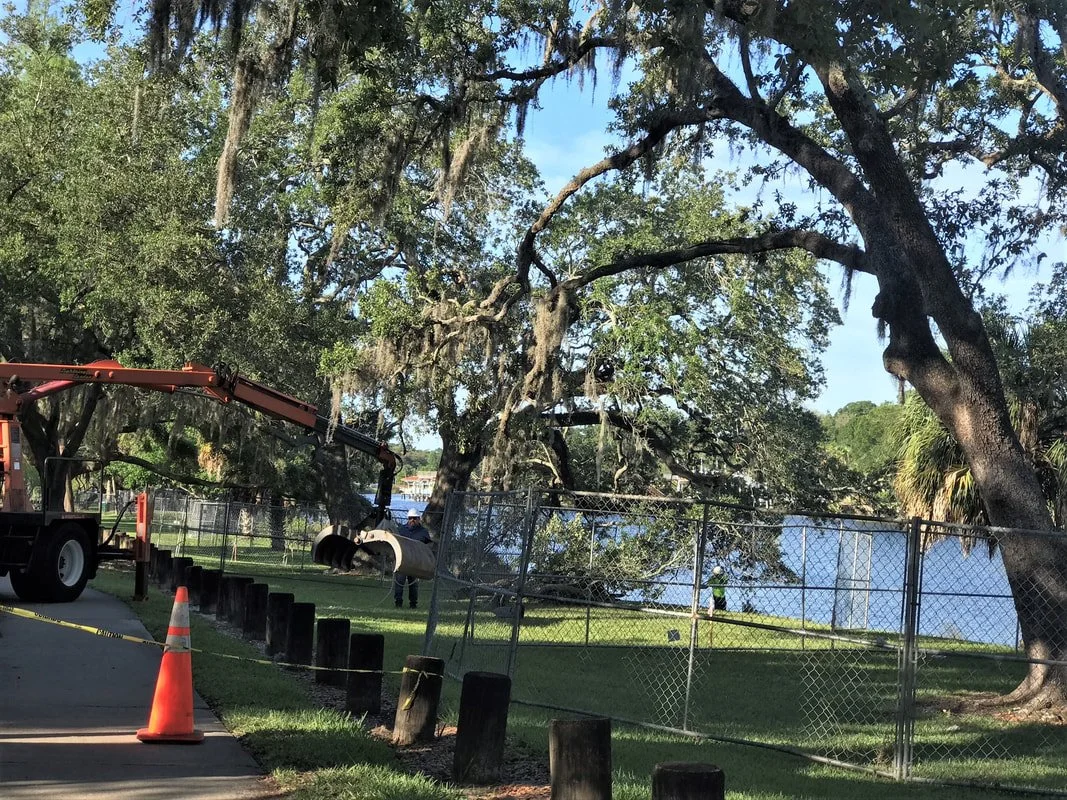 Restoration in Progress