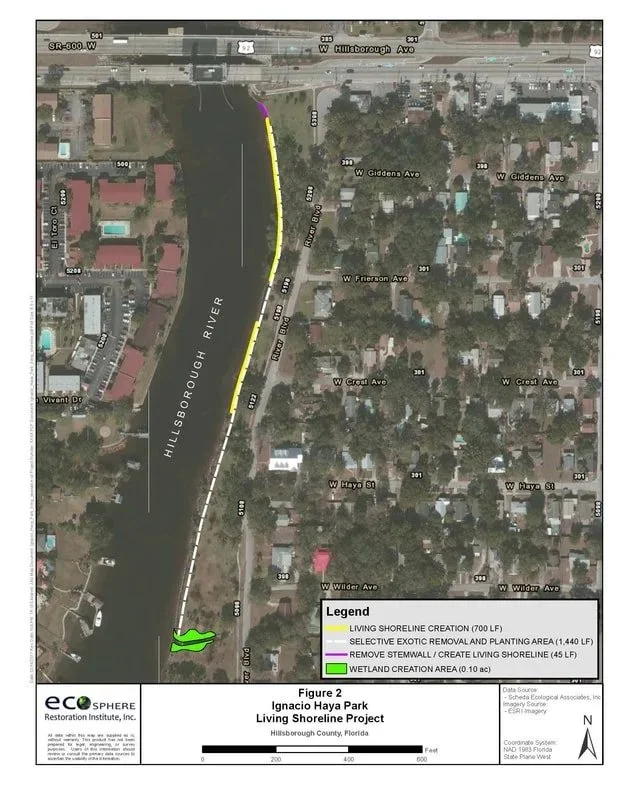 Conceptual Living Shoreline Plan