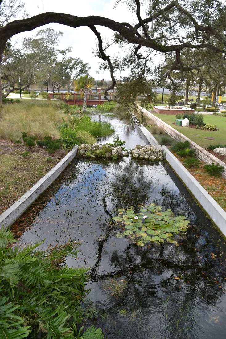 Upper basin of spring run