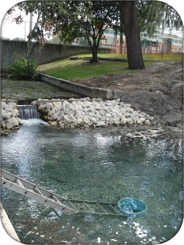 Newly connected spring run