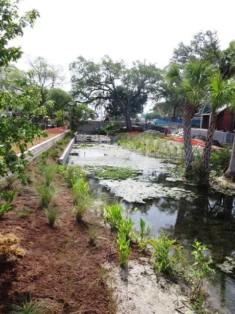 Upper spring pool post-planting