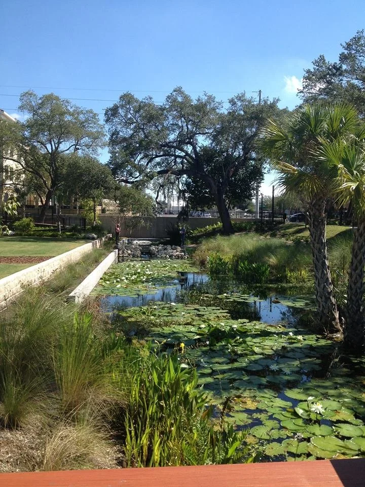 Upper pool after restoration