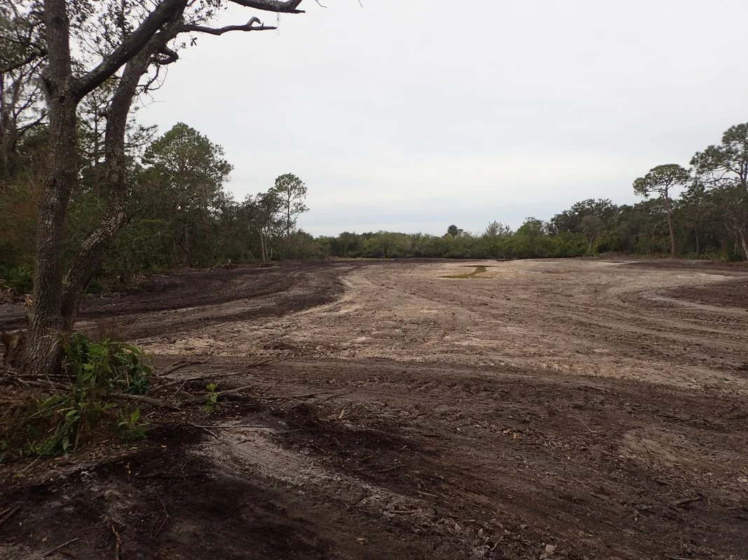 Site graded to wetland elevations