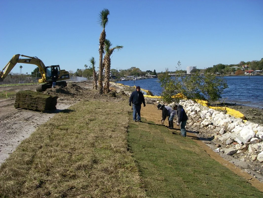 Planting Native Paspalum Grass Along Shore