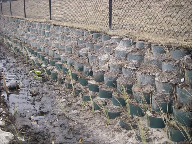 Geoweb Wall with Plants