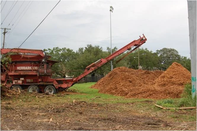 Mulching of Exotic Vegetation