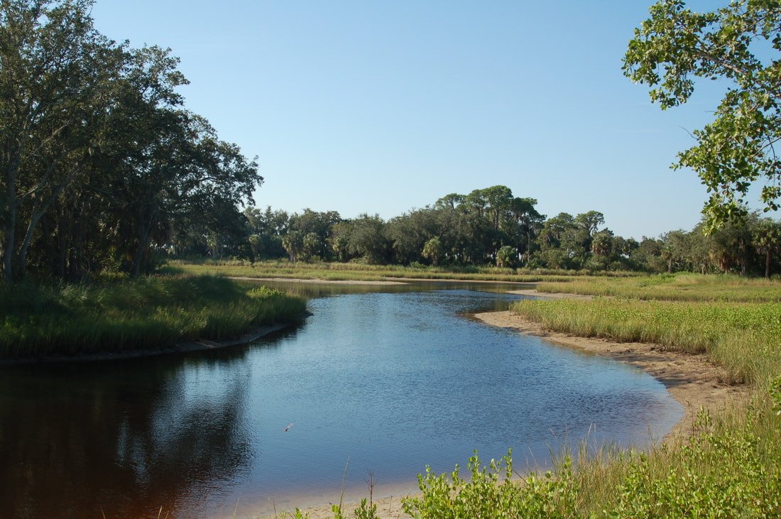 Meandering Tidal Creek