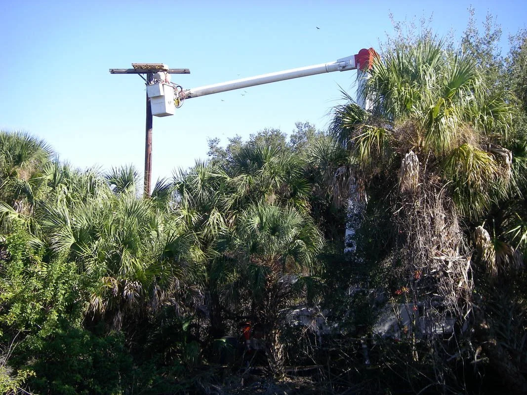 Osprey Platform Under Construction
