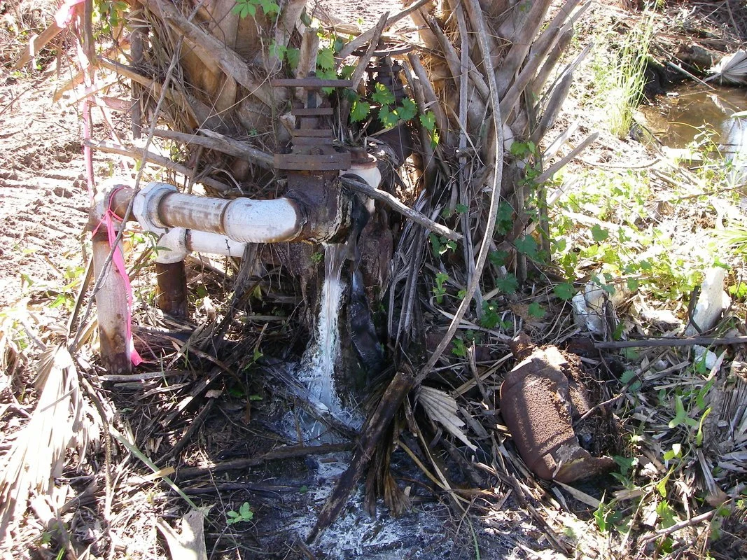 1 of 9 Running Wells (now all capped)