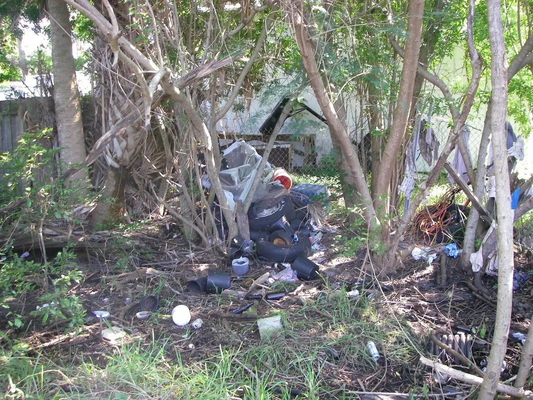 Initial Site Conditions