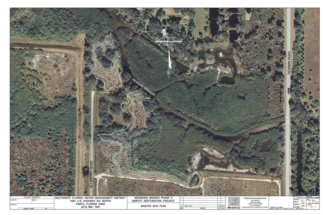 Aerial Photo Showing Design of Newman Branch Restoration Phase II