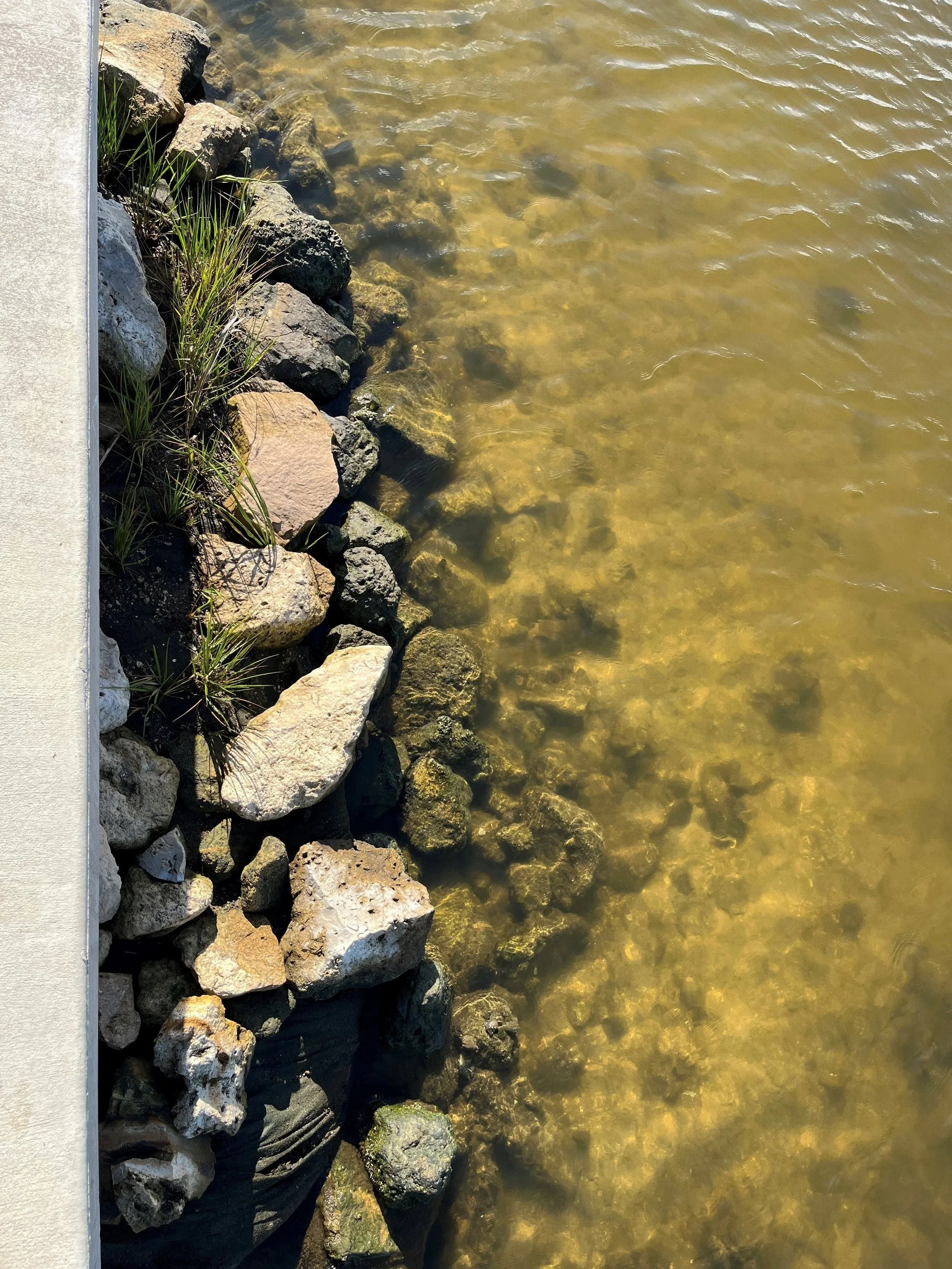 SEP Seawall Enhancement Project