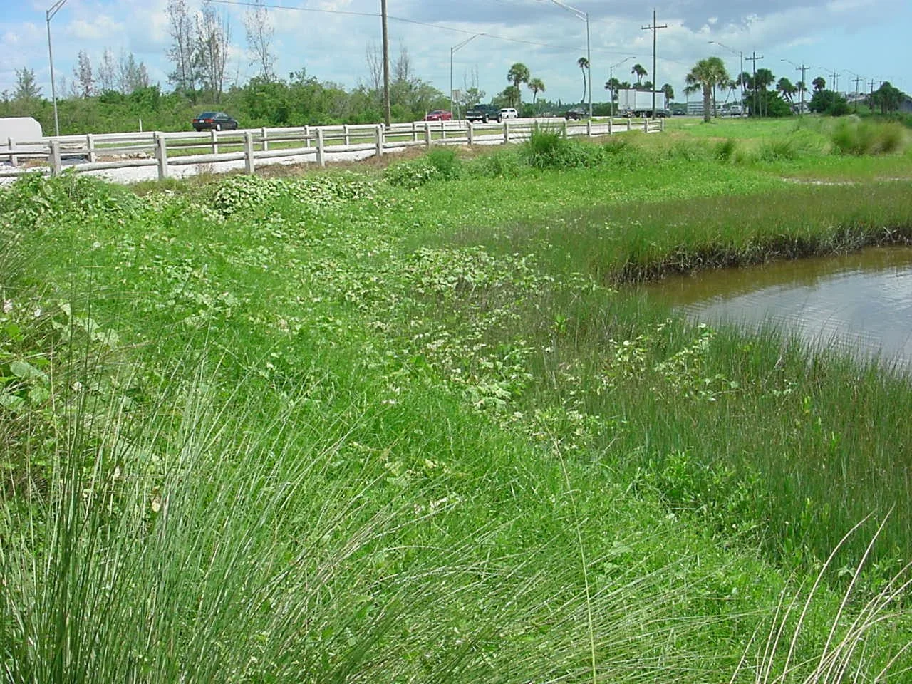 Central Facing Southeast