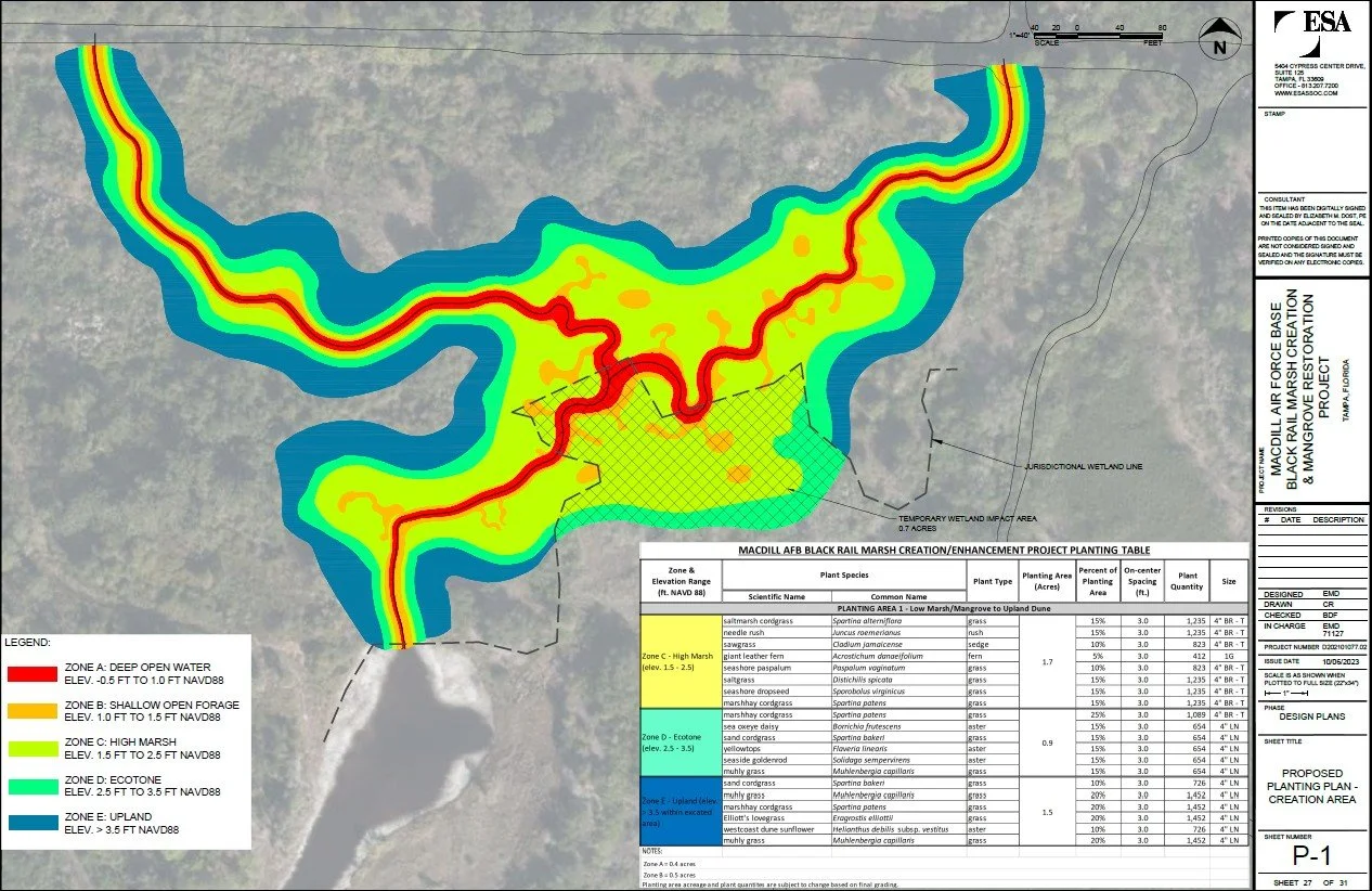 Eastern Black Rail Wetlands Plan