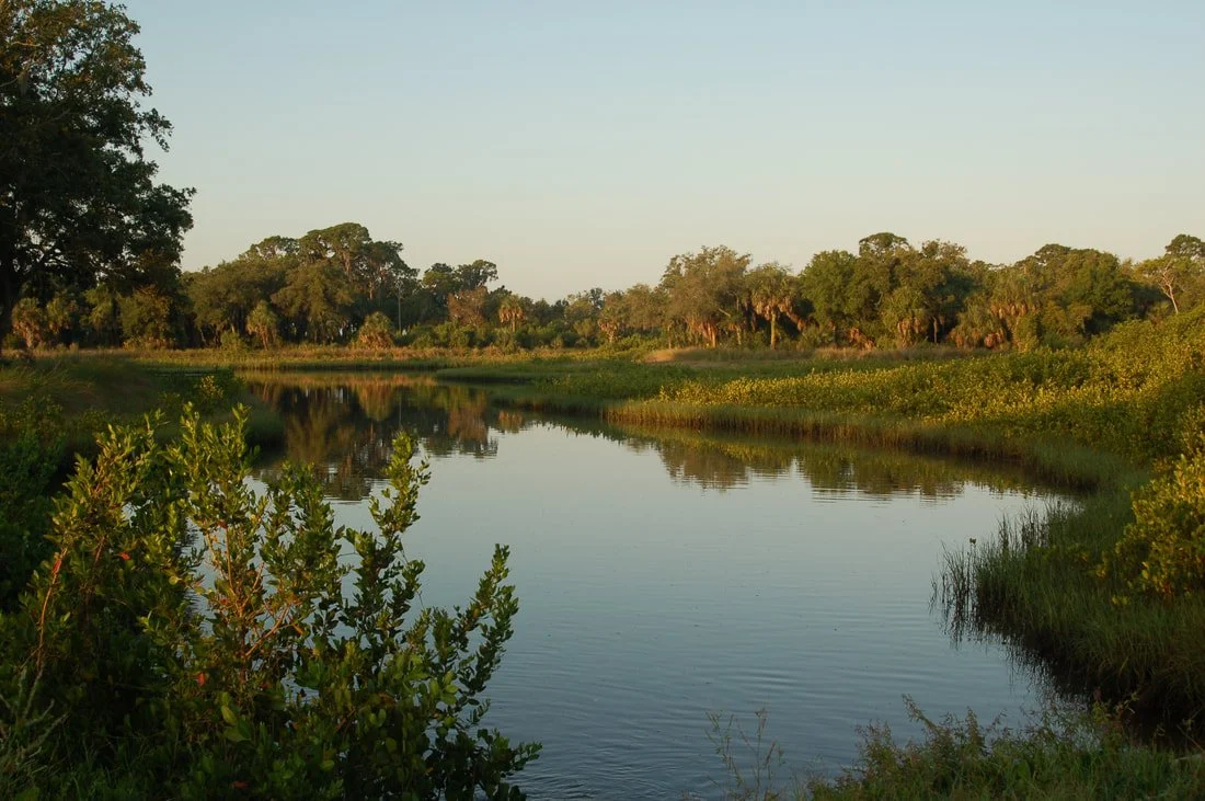 A peaceful river flowing through a lush green landscape with trees and bushes, under a clear sky.