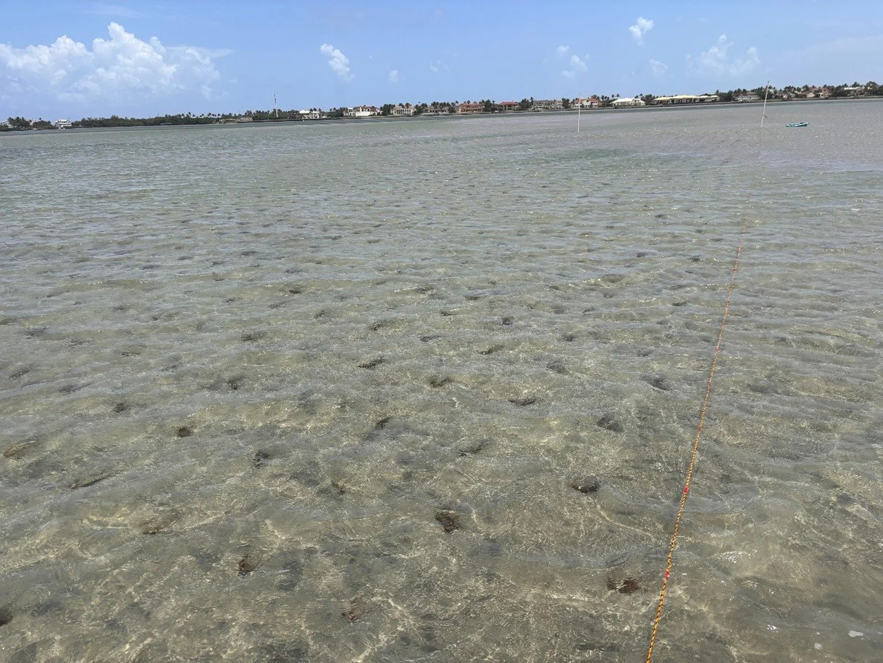 Shallow, clear water with footprints on the sandy bottom, distant shoreline with buildings, and partly cloudy sky.