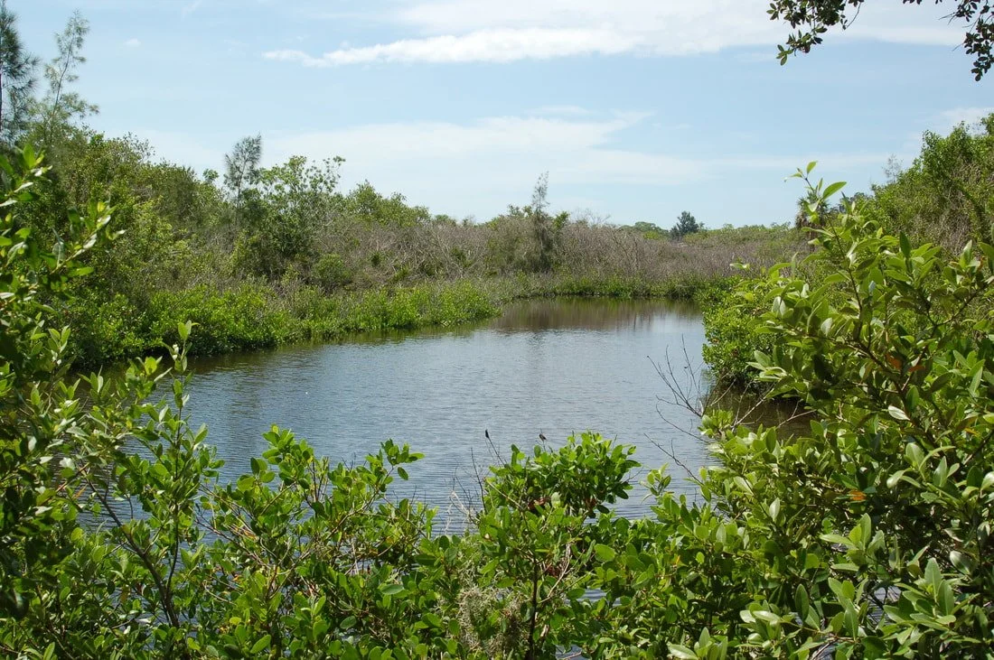 A winding river flowing through a lush green wetland under a partly cloudy sky.