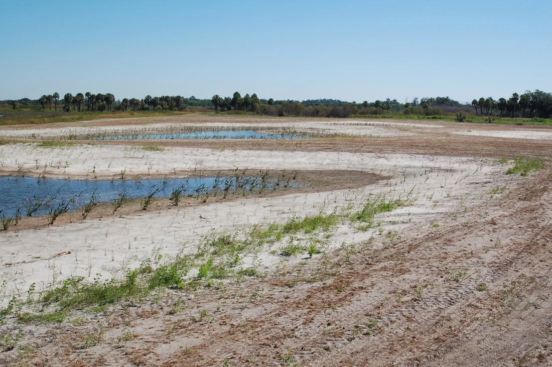 Dry, sandy landscape with small water bodies and sparse grass, under a clear blue sky, with trees visible in the distance.