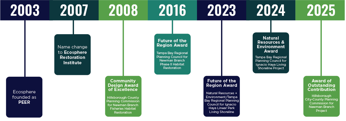 A timeline chart showing the history and achievements of a regional planning and environmental organization from 2003 to 2025. It highlights key events such as the founding of Ecosphere in 2003, a name change in 2007, awards received in 2008, 2016, 2023, 2024, and 2025, including recognition for outstanding contributions and future regional planning initiatives.