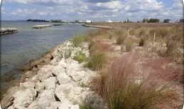 A waterfront scene with rocks along the shore and tall grasses, with a body of water and boats in the background under a partly cloudy sky.
