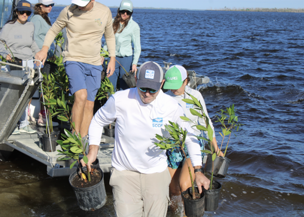 Group of people planting trees in a water body, some holding small trees and others walking on a boat