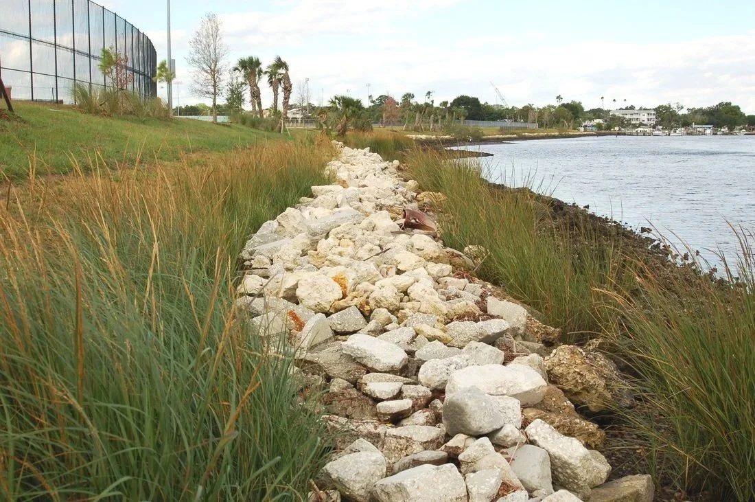 Rocks forming a pathway along the water's edge with grassy vegetation on either side and a fence and trees in the background.