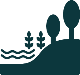 Silhouette of a natural shoreline with trees, shrubs, and water waves on the left side.