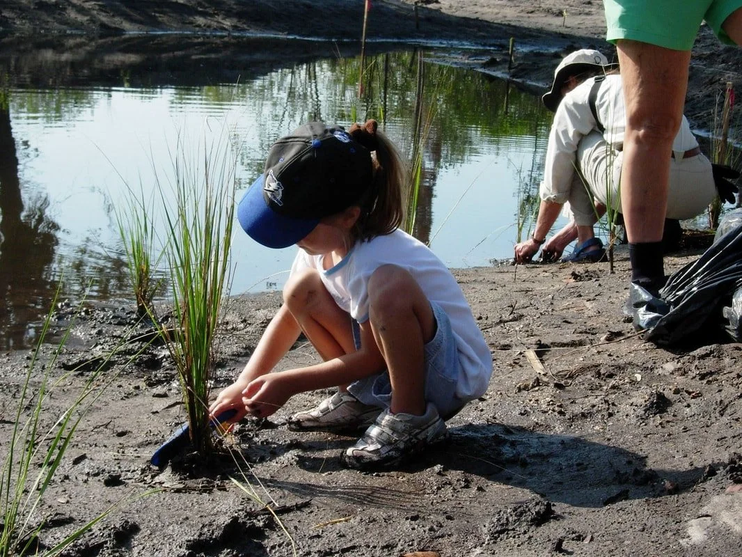 Child crouching near the water's edge planting a small tree or plant in muddy soil, with an adult person nearby.