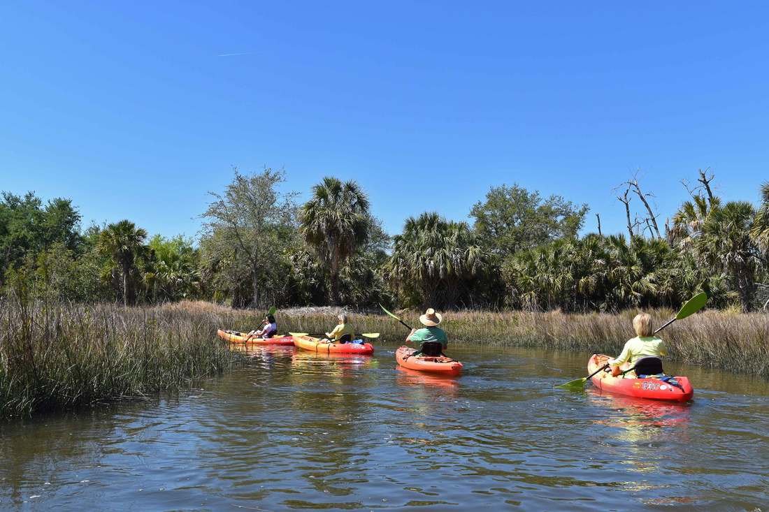 Four people kayaking on a river surrounded by tall grass and palm trees under a clear blue sky.