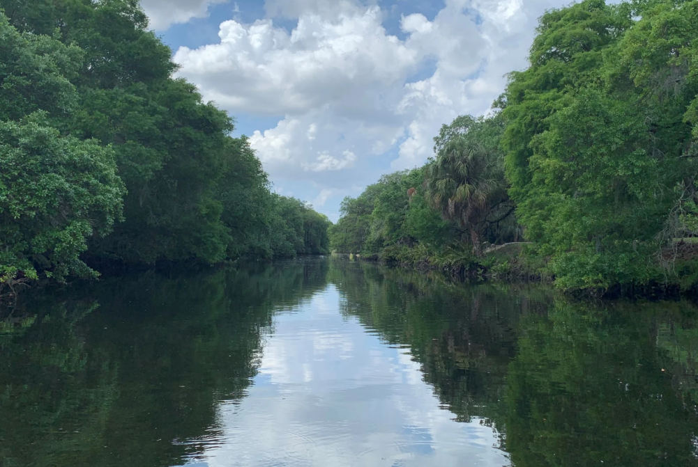 Calm river flows through lush green trees on both sides under a partly cloudy sky.