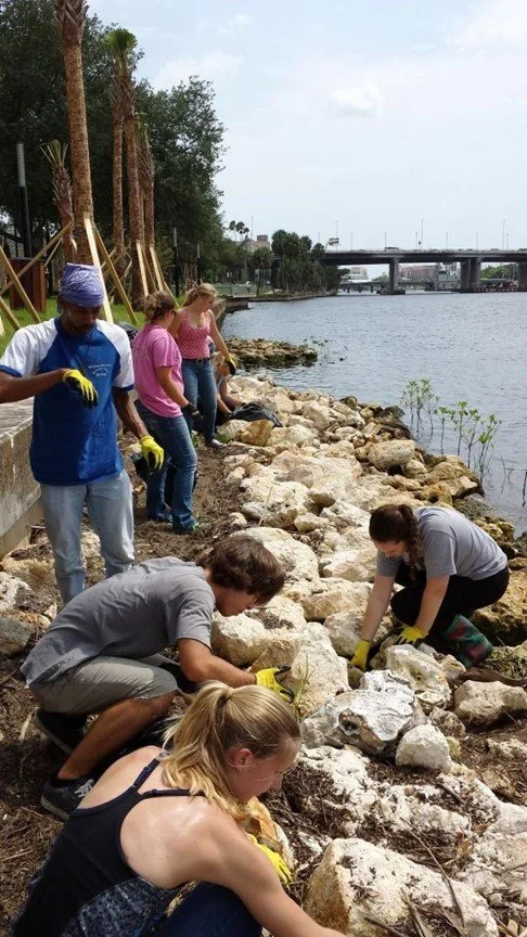 People planting along the shoreline of a river during an Ecosphere coastline restoration project.